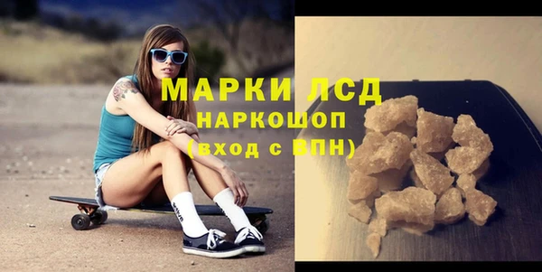 стаф Аркадак