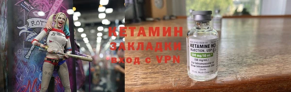 стаф Аркадак