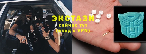 стаф Аркадак