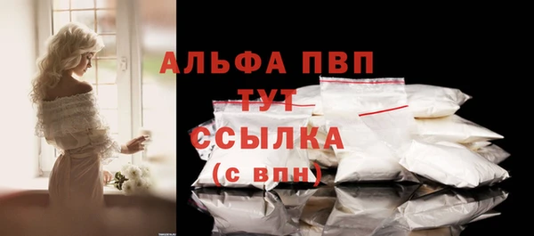 стаф Аркадак