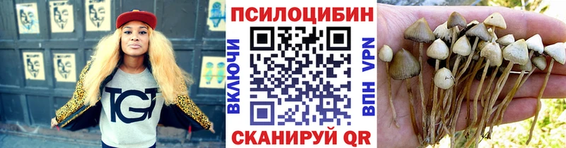 Купить  Межгорье  Галлюциногенные грибы Psilocybine cubensis 
